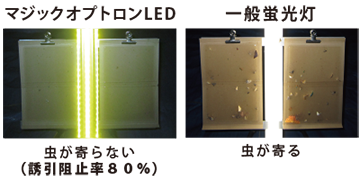 マジックオプトロンLEDと一般蛍光灯の防虫比較